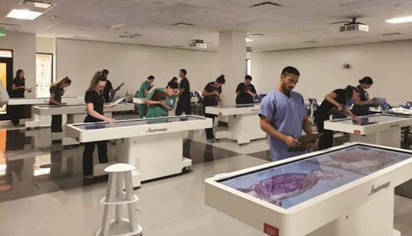 Enseignement médical : L’IFMK Saint-Michel révolutionne la formation grâce à la table de visualisation médicale Anatomage